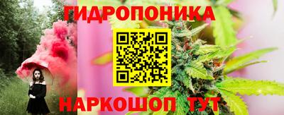 прущие крисы Лесосибирск