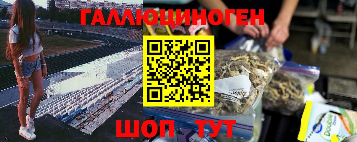 Звенигород  Галлюциногенные грибы Cubensis  Вход с VPN 