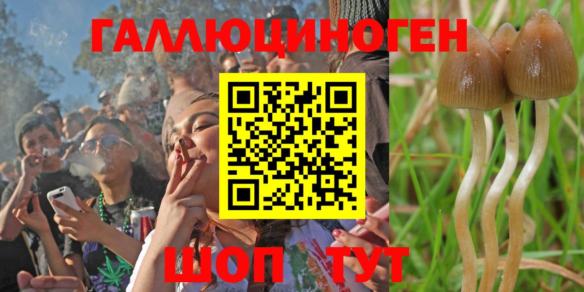Галлюциногенные грибы мицелий Звенигород